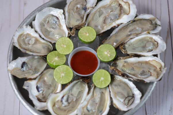 oysters, seafood, raw-4913526.jpg